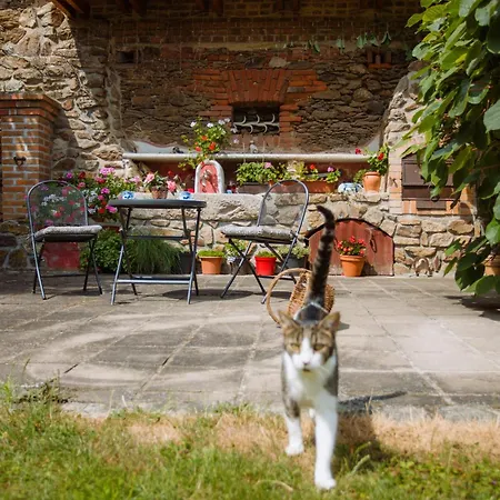 Appartement 19 Mahous